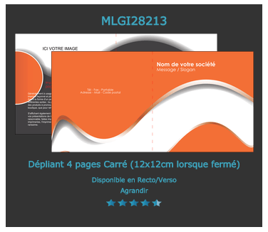 exemple de prospectus