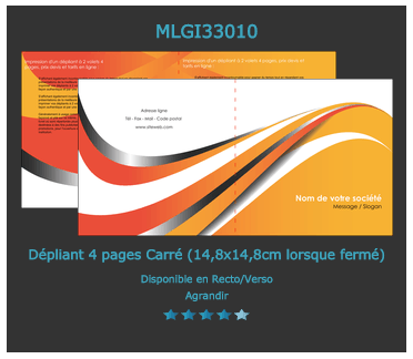 modèle de prospectus